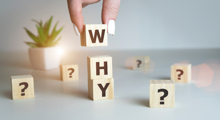 Why Instagram Reels Matter in 2024